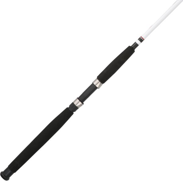 Berkley Big Game Spinning Fishing Rod